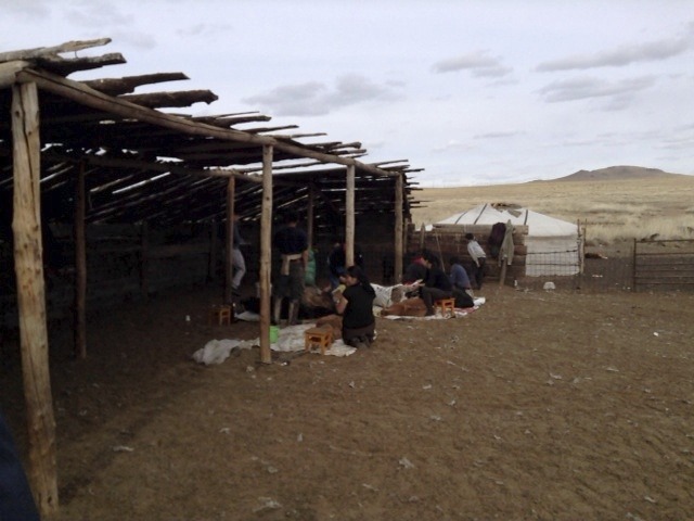モンゴルの移民族